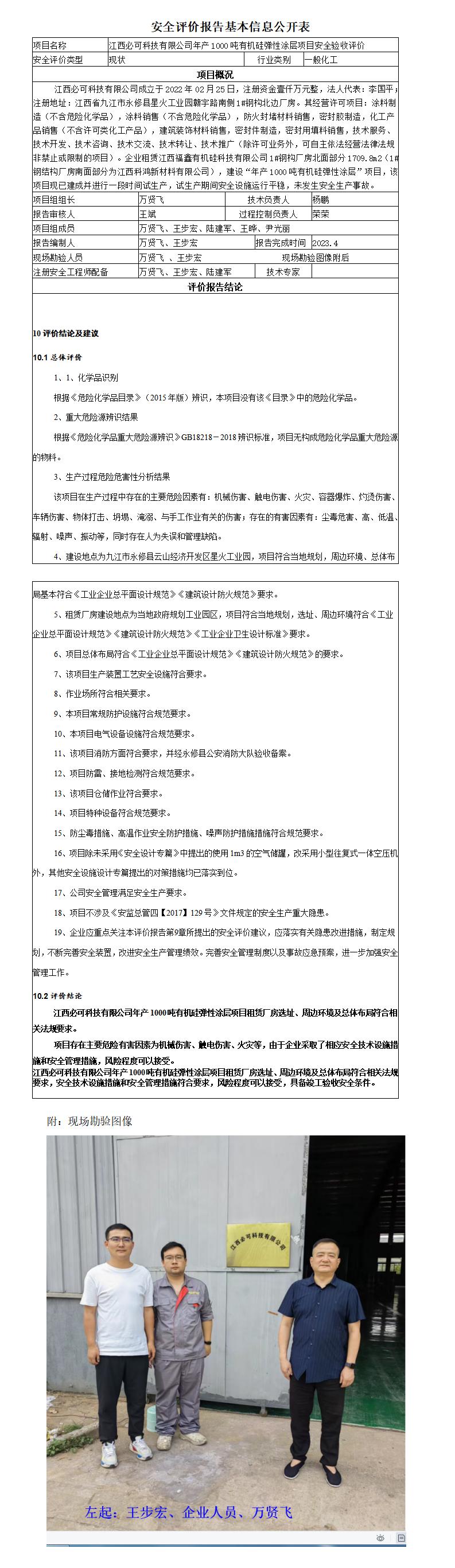 安全評價報告基本信息公開表（江西必可科技）