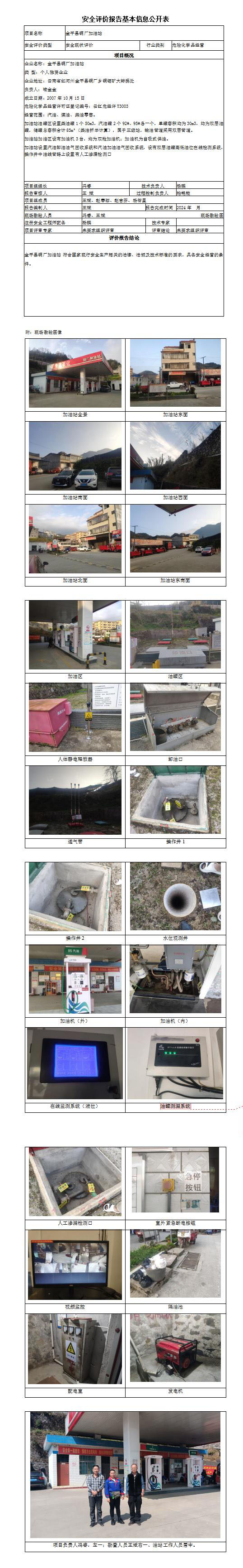 安全評(píng)價(jià)報(bào)告基本信息公開表 金平縣銅廠